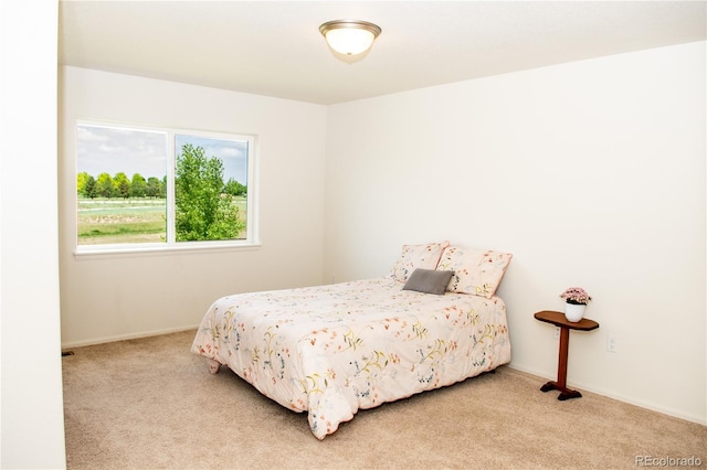 1766 Country Sun Dr, Windsor, CO 80550 - bedroom with carpet