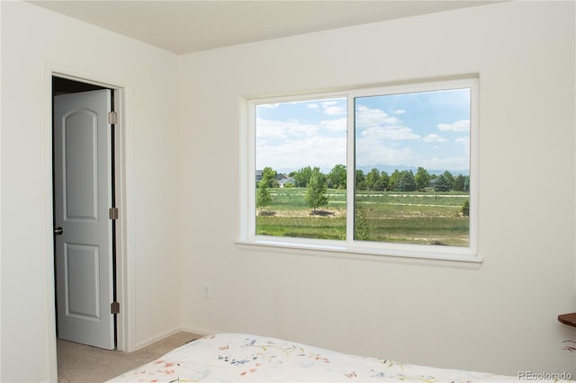 1766 Country Sun Dr, Windsor, CO 80550 - bedroom with light colored carpet and baseboards