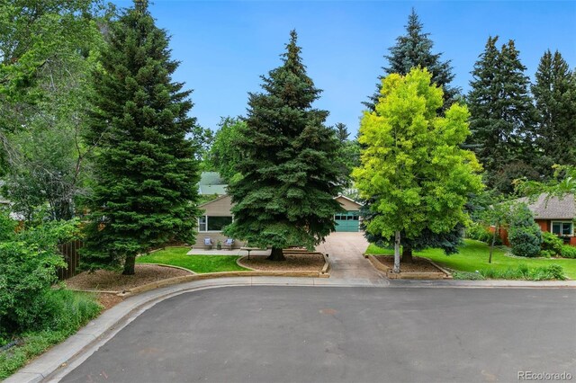 970 Bungalow Ct, Fort Collins, CO 80521 - photo 36