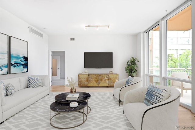 living room featuring wood finished floors and rail lighting