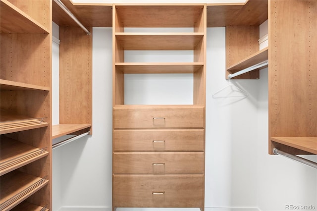 view of walk in closet