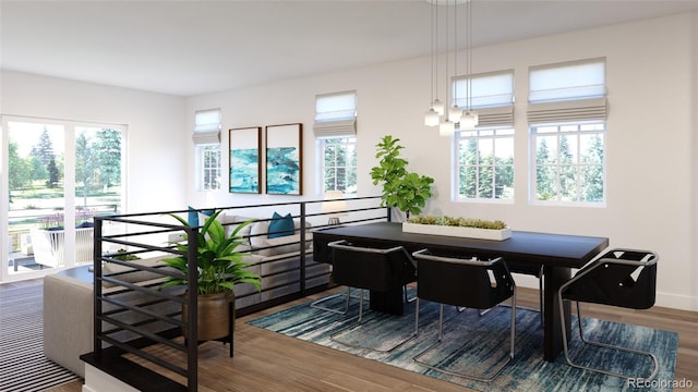 dining room with hardwood / wood-style floors