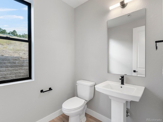 3833 Whispering Sage St, Evergreen, CO 80439 - photo 15