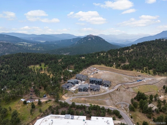 3833 Whispering Sage St, Evergreen, CO 80439 - photo 30