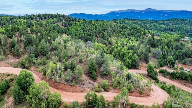 1693 Golden Cycle Cir, Cripple Creek, CO 80813 - photo 1