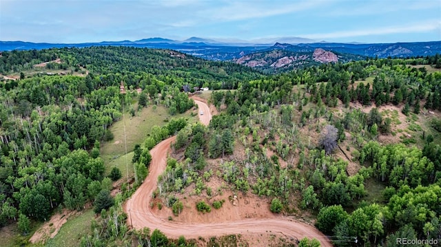 1693 Golden Cycle Cir, Cripple Creek, CO 80813 - photo 8