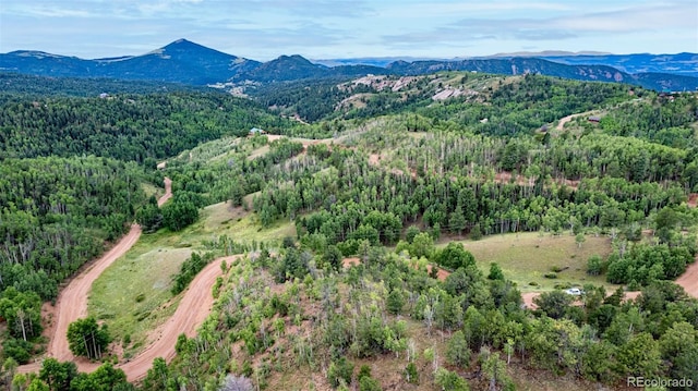 1693 Golden Cycle Cir, Cripple Creek, CO 80813 - photo 9