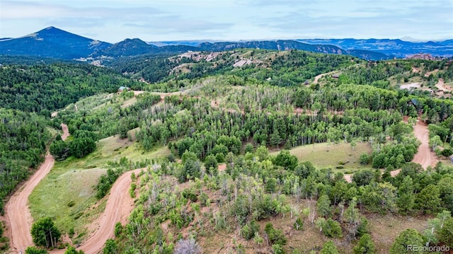 1693 Golden Cycle Cir, Cripple Creek, CO 80813 - photo 10