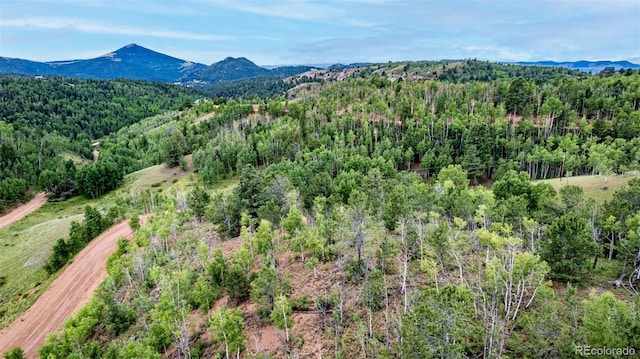1693 Golden Cycle Cir, Cripple Creek, CO 80813 - photo 11