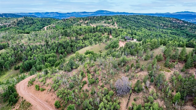 1693 Golden Cycle Cir, Cripple Creek, CO 80813 - photo 13