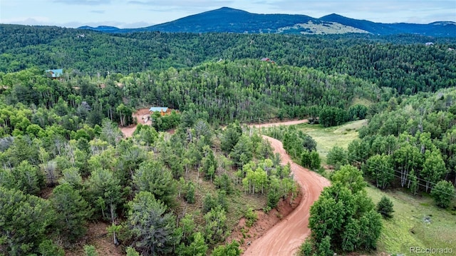 1693 Golden Cycle Cir, Cripple Creek, CO 80813 - photo 14