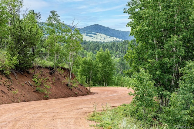 1693 Golden Cycle Cir, Cripple Creek, CO 80813 - photo 15