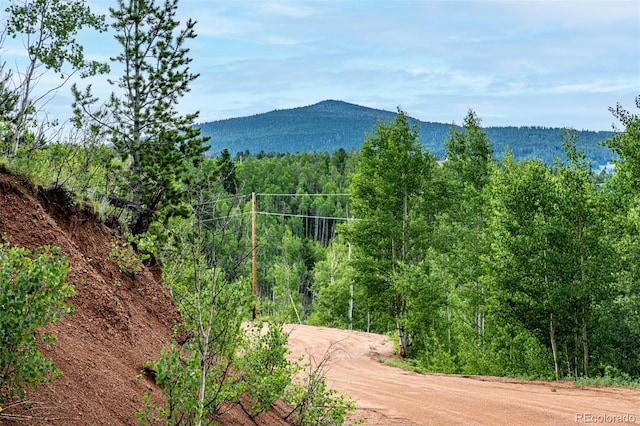1693 Golden Cycle Cir, Cripple Creek, CO 80813 - photo 16