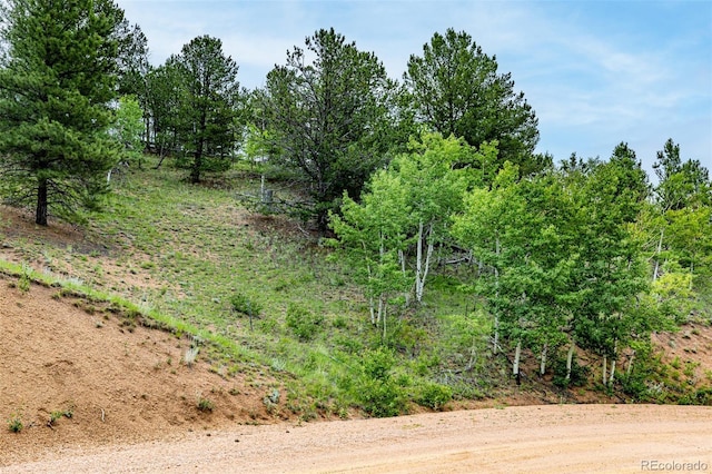 1693 Golden Cycle Cir, Cripple Creek, CO 80813 - photo 17