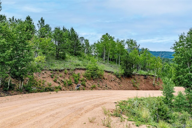 1693 Golden Cycle Cir, Cripple Creek, CO 80813 - photo 18