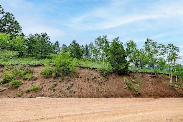 1693 Golden Cycle Cir, Cripple Creek, CO 80813 - photo 19