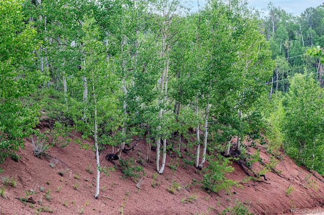 1693 Golden Cycle Cir, Cripple Creek, CO 80813 - photo 23