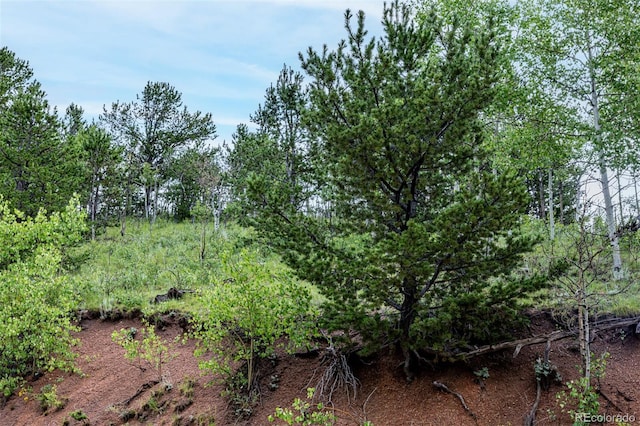 1693 Golden Cycle Cir, Cripple Creek, CO 80813 - photo 24
