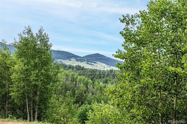 1693 Golden Cycle Cir, Cripple Creek, CO 80813 - photo 25