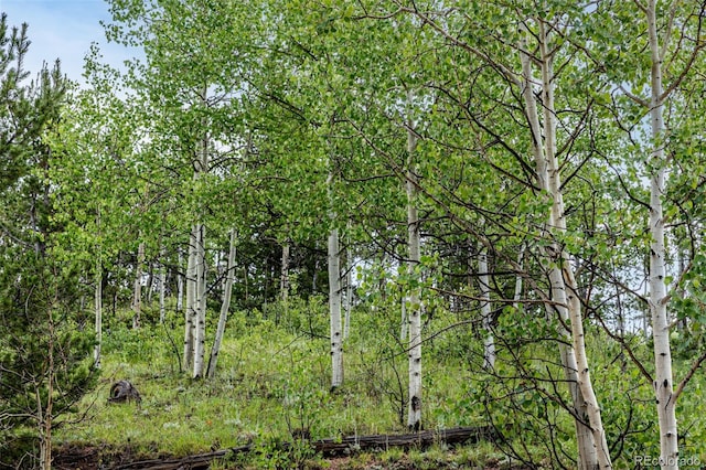 1693 Golden Cycle Cir, Cripple Creek, CO 80813 - photo 26