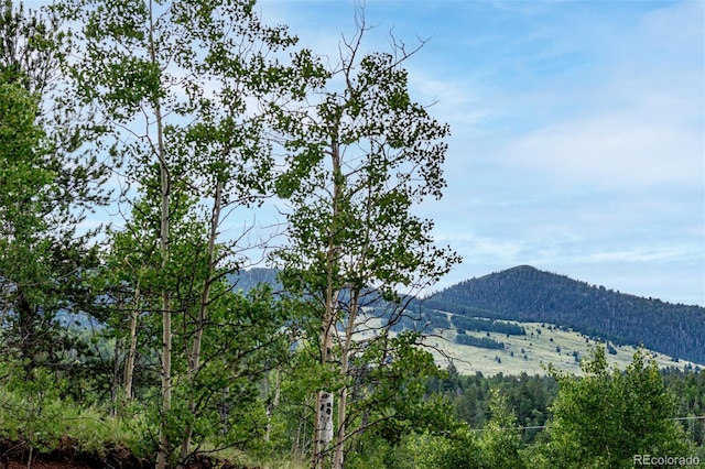 1693 Golden Cycle Cir, Cripple Creek, CO 80813 - photo 29