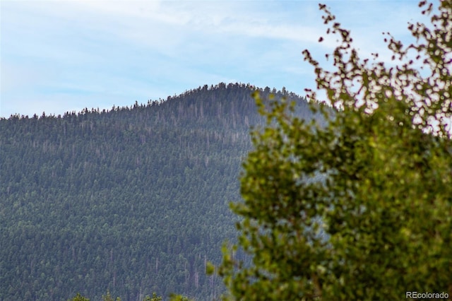 1693 Golden Cycle Cir, Cripple Creek, CO 80813 - photo 30