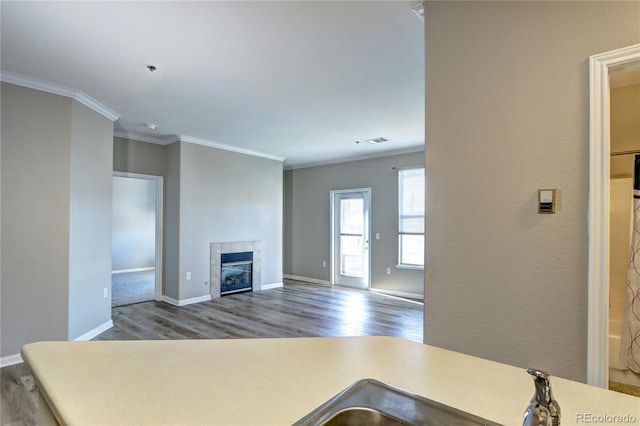 interior space with a fireplace, wood-type flooring, crown molding, and sink