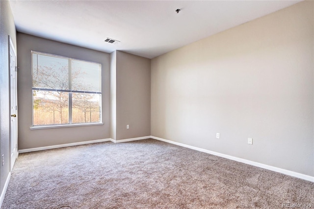 spare room featuring carpet floors