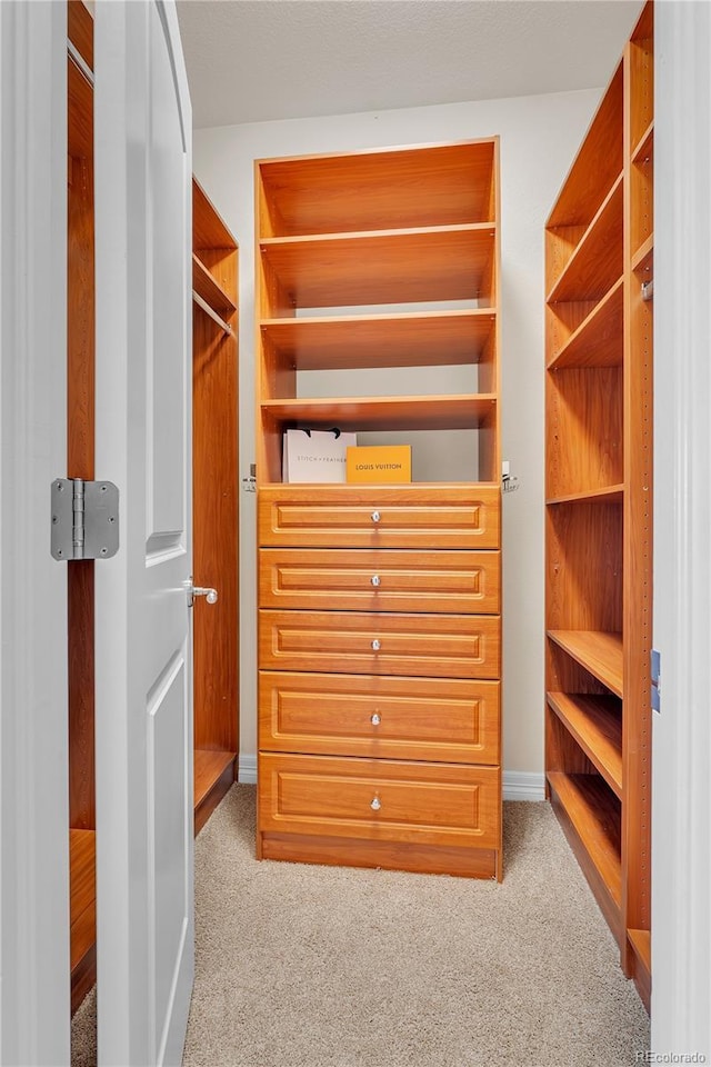 walk in closet featuring carpet flooring