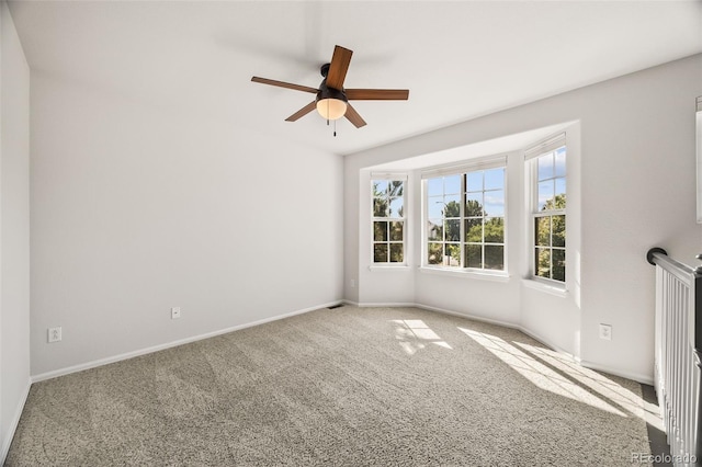 6139 Salvia Ct, Golden, CO 80403 - photo 31