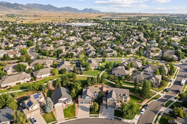 6139 Salvia Ct, Golden, CO 80403 - photo 46