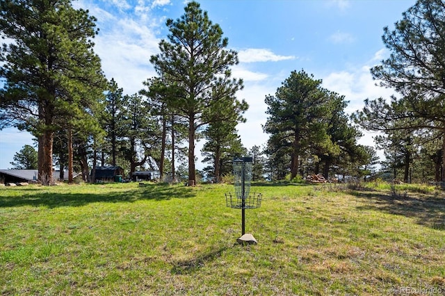 25392 Westridge Rd, Golden, CO 80403 - photo 31
