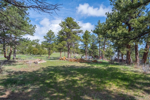 25392 Westridge Rd, Golden, CO 80403 - photo 32