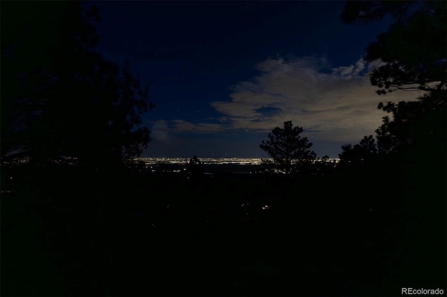 25392 Westridge Rd, Golden, CO 80403 - photo 47