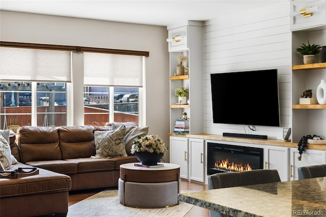 14110 Pastel Ln, Parker, CO 80134 - living room with wood finished floors and a glass covered fireplace