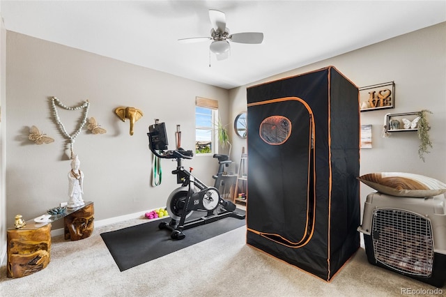 14110 Pastel Ln, Parker, CO 80134 - exercise area with ceiling fan and carpet floors