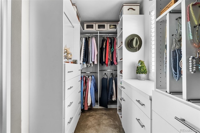 14110 Pastel Ln, Parker, CO 80134 - walk in closet with dark colored carpet