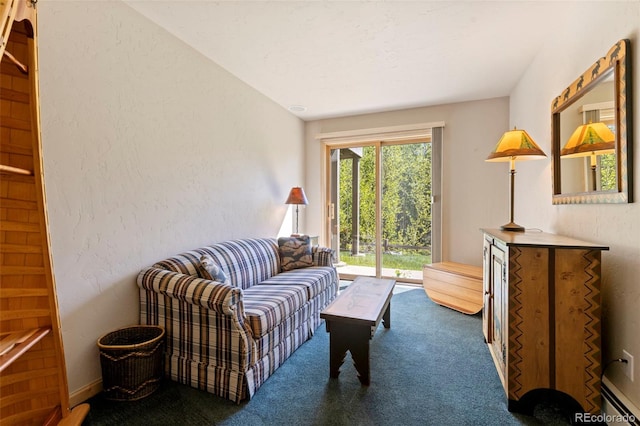 1508 Berino Ct Unit C, Frisco, CO 80443 - sitting room featuring carpet, a textured wall, and a baseboard heating unit