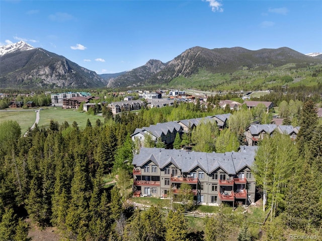1508 Berino Ct Unit C, Frisco, CO 80443 - view of mountain backdrop