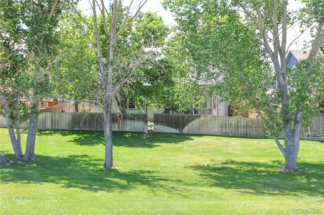 19249 E Progress Ave, Centennial, CO 80015 - view of yard