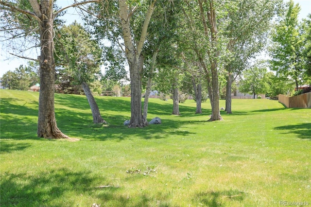 19249 E Progress Ave, Centennial, CO 80015 - view of grassy yard