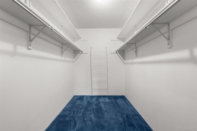 13890 E Marina Dr Unit 304, Aurora, CO 80014 - spacious closet featuring carpet