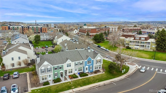 bird's eye view