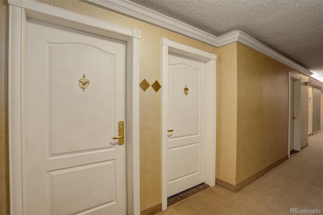 interior space with ornamental molding, carpet floors, and a textured ceiling