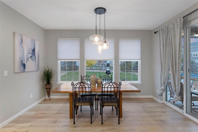 dining room with light wood-type flooring