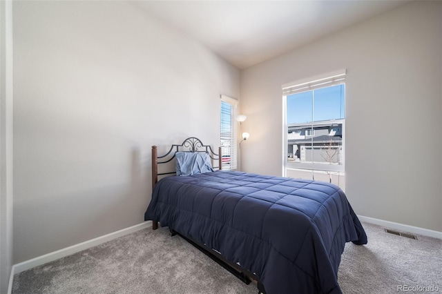 195 Silver Rock Trl, Castle Rock, CO 80104 - photo 17