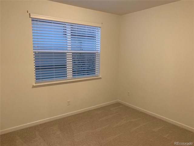 unfurnished room with carpet flooring