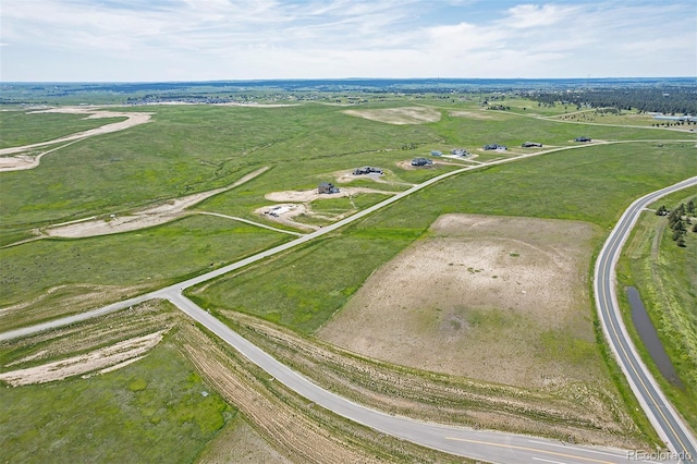 5126 Freddys Trl, Parker, CO 80134 - photo 10
