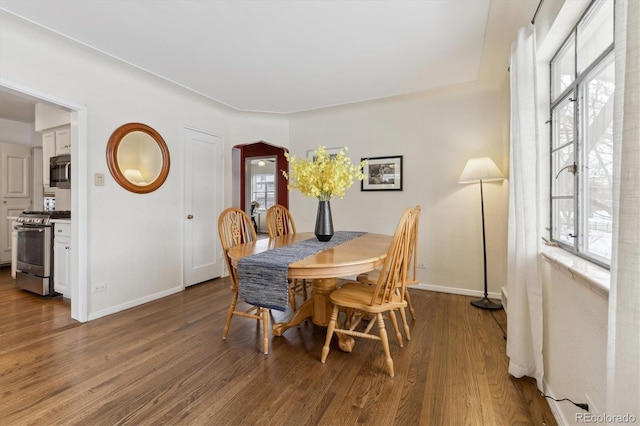 dining room featuring dark hardwood / wood-style flooring and a healthy amount of sunlight