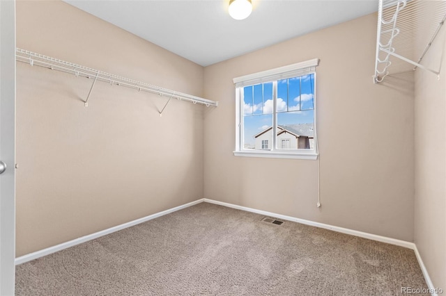 spacious closet with carpet